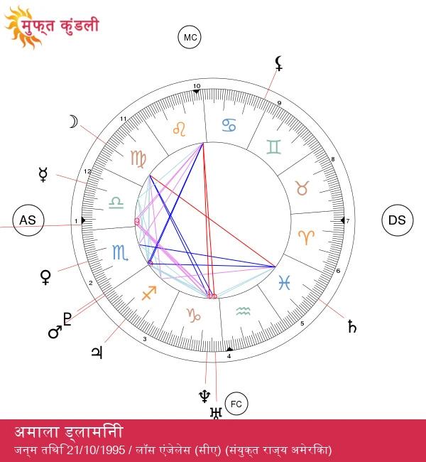 दोसा कैट: आकर्षक तुला के सितारे का रहस्य उजागर!